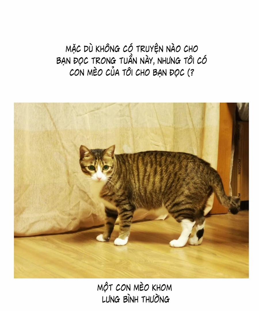 Đừng Nói Yêu Tôi (Don't Say You Love Me) 52.5 trang 2