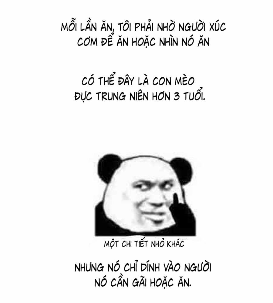 Đừng Nói Yêu Tôi (Don't Say You Love Me) 52.5 trang 7