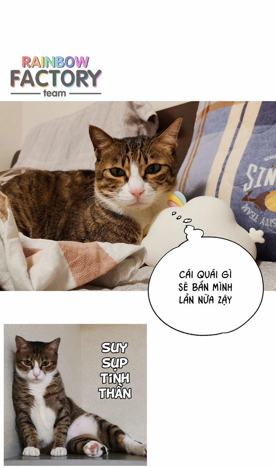 Đừng Nói Yêu Tôi (Don't Say You Love Me) 52.5 trang 8