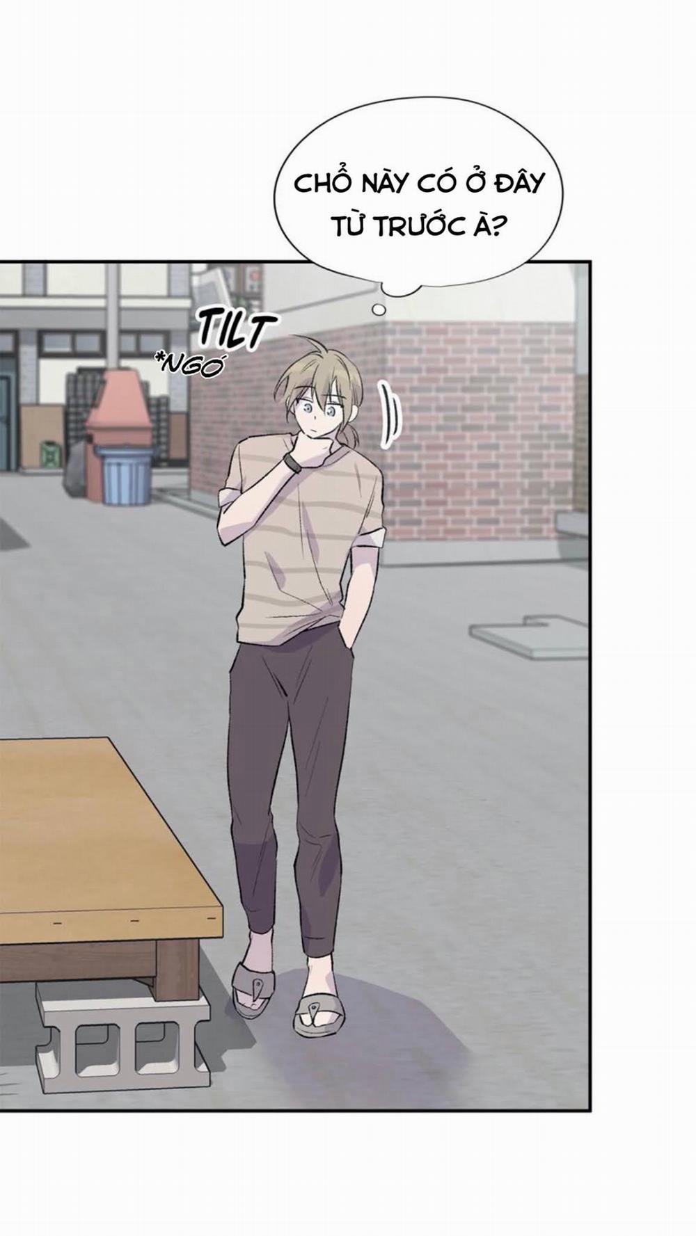 Đừng Viết Nữa, Tác Giả Thân Mến! 6 trang 40