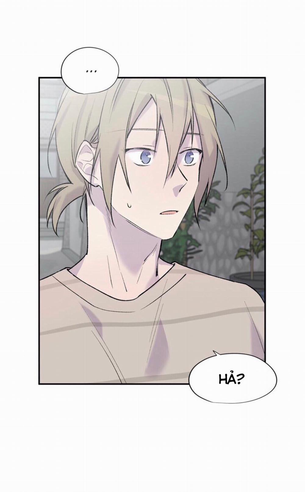 Đừng Viết Nữa, Tác Giả Thân Mến! 6 trang 66