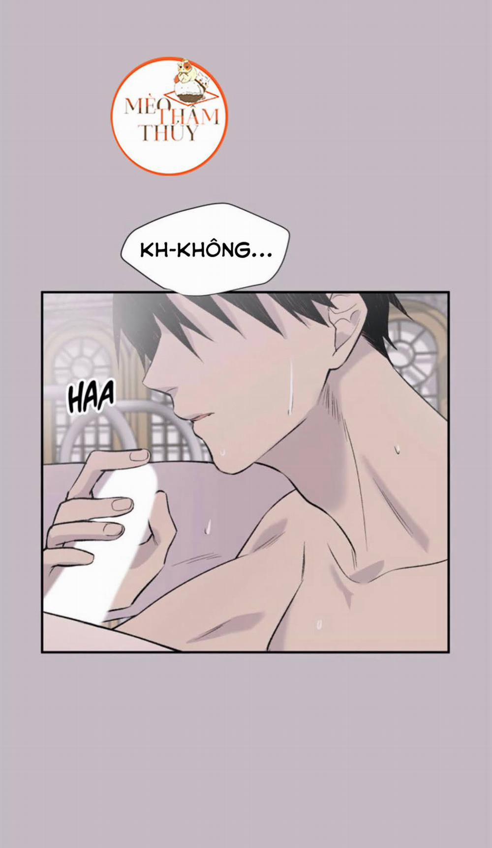 Đừng Viết Nữa, Tác Giả Thân Mến! 7 trang 8