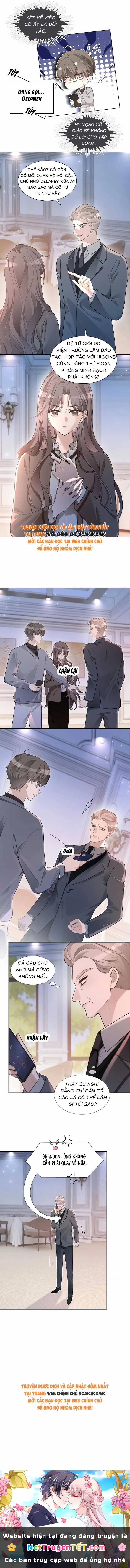 Được Các Anh Trai Chiều Chuộng Tôi Trở Nên Ngang Tàng 324 trang 5