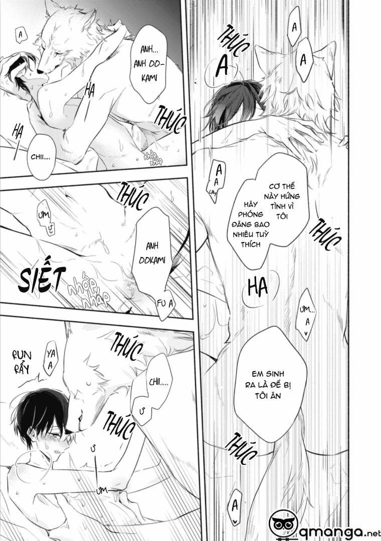 Được Papa Sói Cưng Chiều 4.2 trang 4