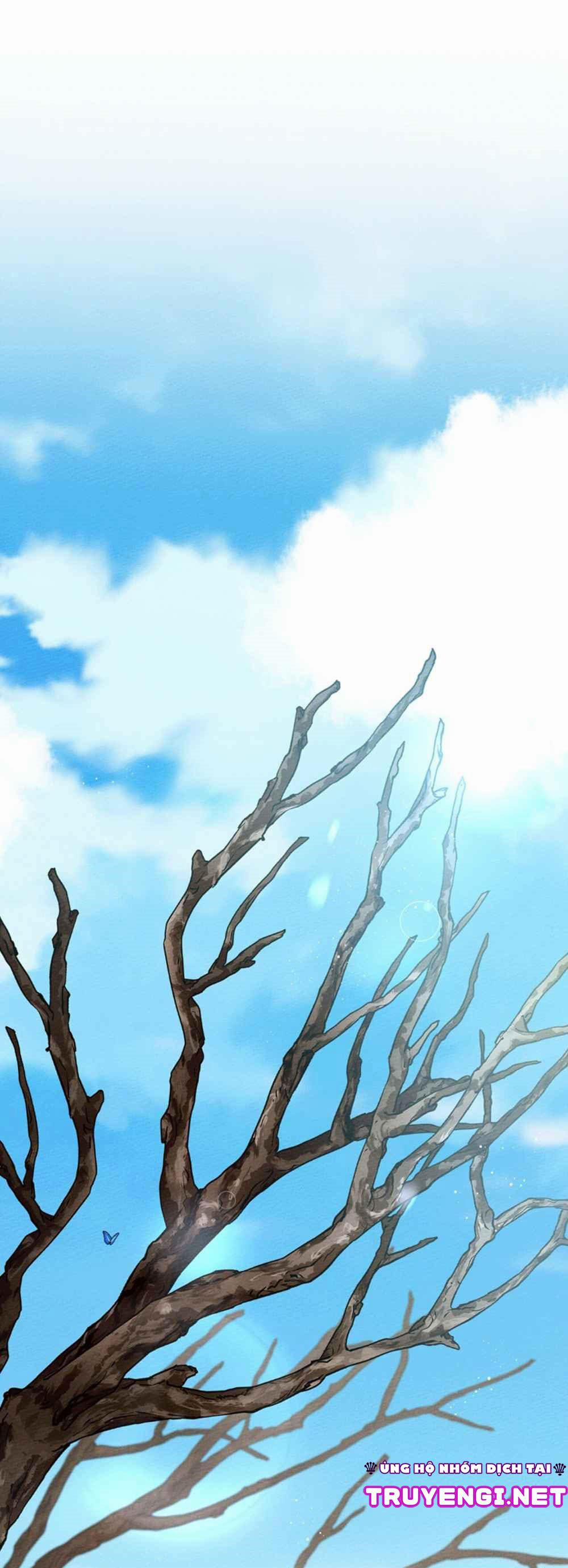 Dưới Bóng Cây Sồi 16 trang 1