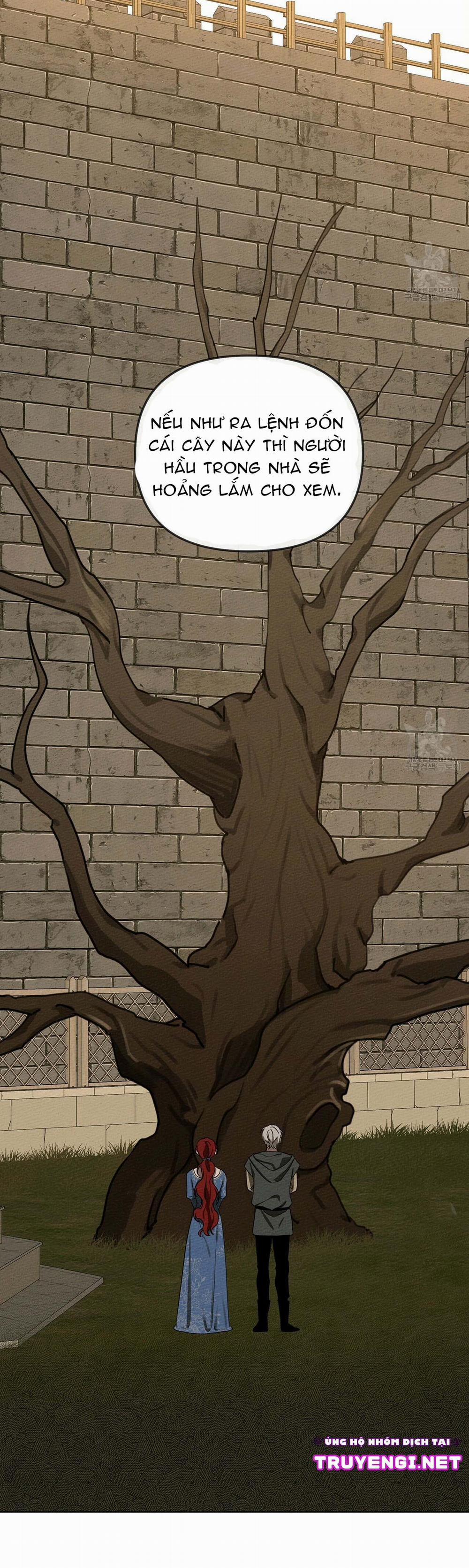 Dưới Bóng Cây Sồi 18 trang 35