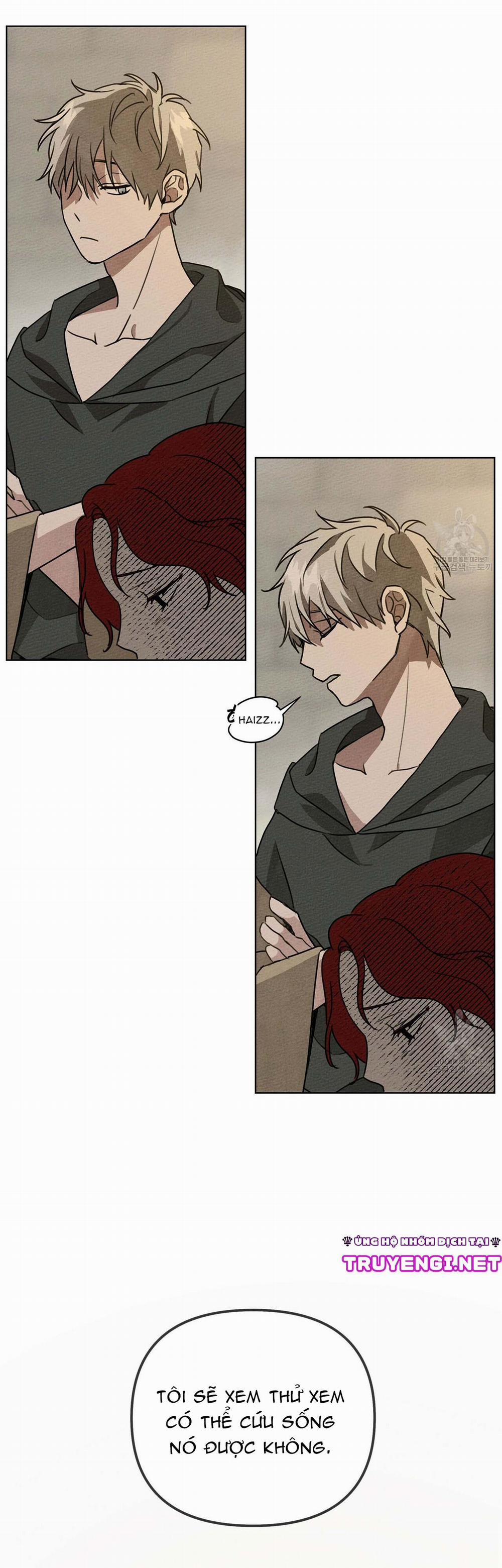 Dưới Bóng Cây Sồi 18 trang 55