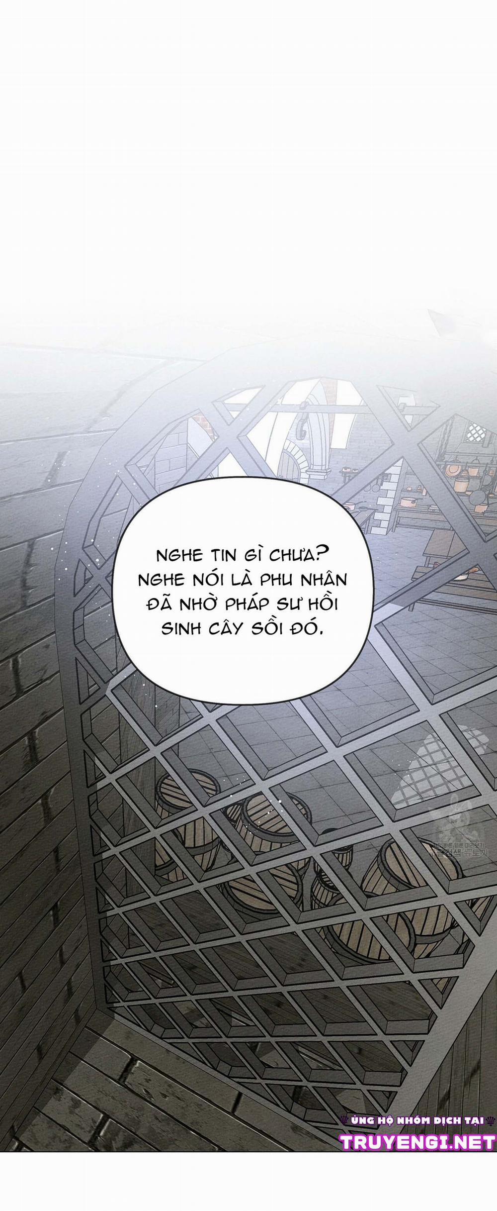 Dưới Bóng Cây Sồi 19 trang 1