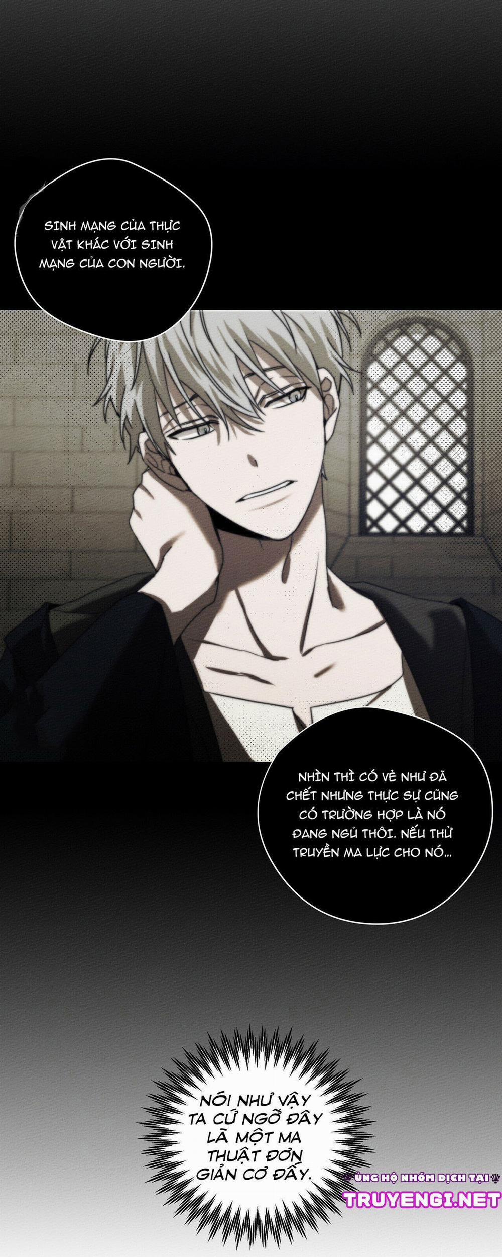 Dưới Bóng Cây Sồi 23 trang 18