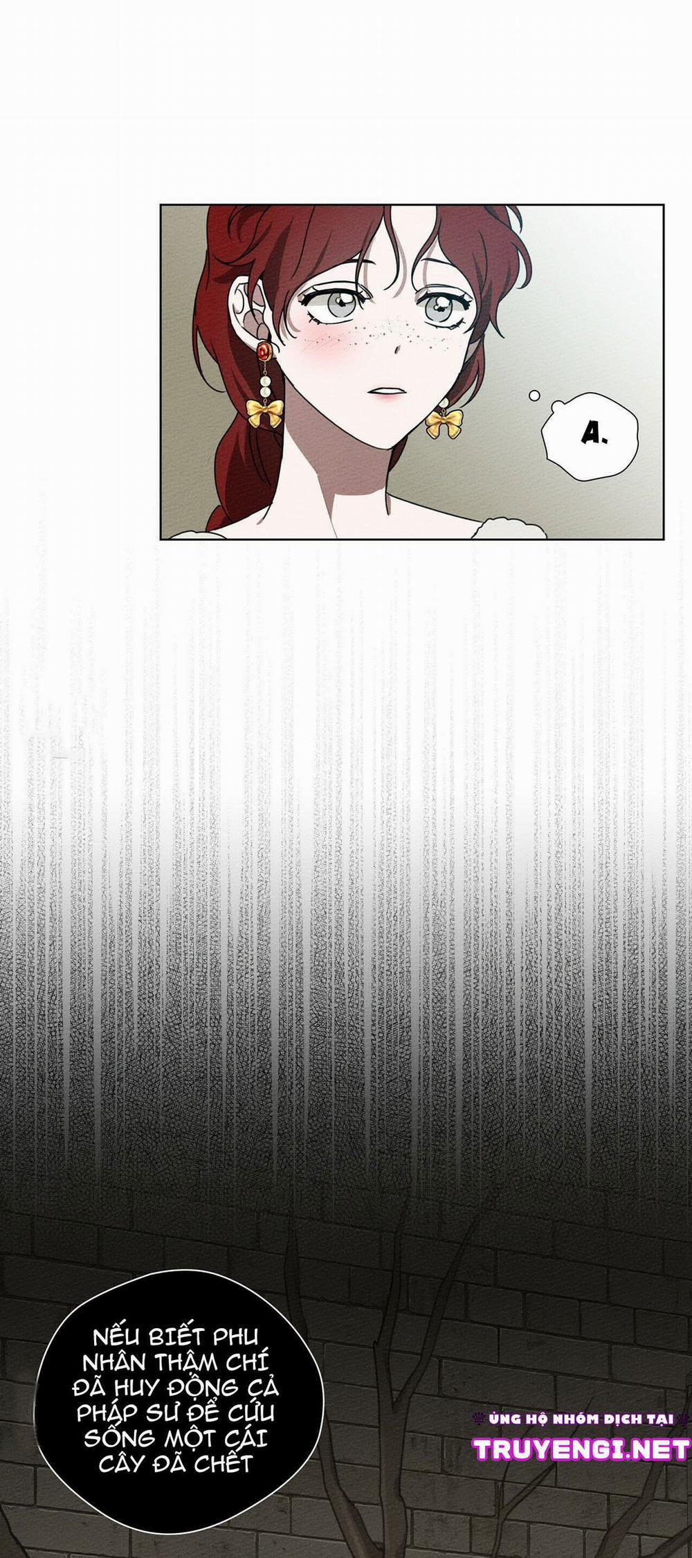 Dưới Bóng Cây Sồi 23 trang 22