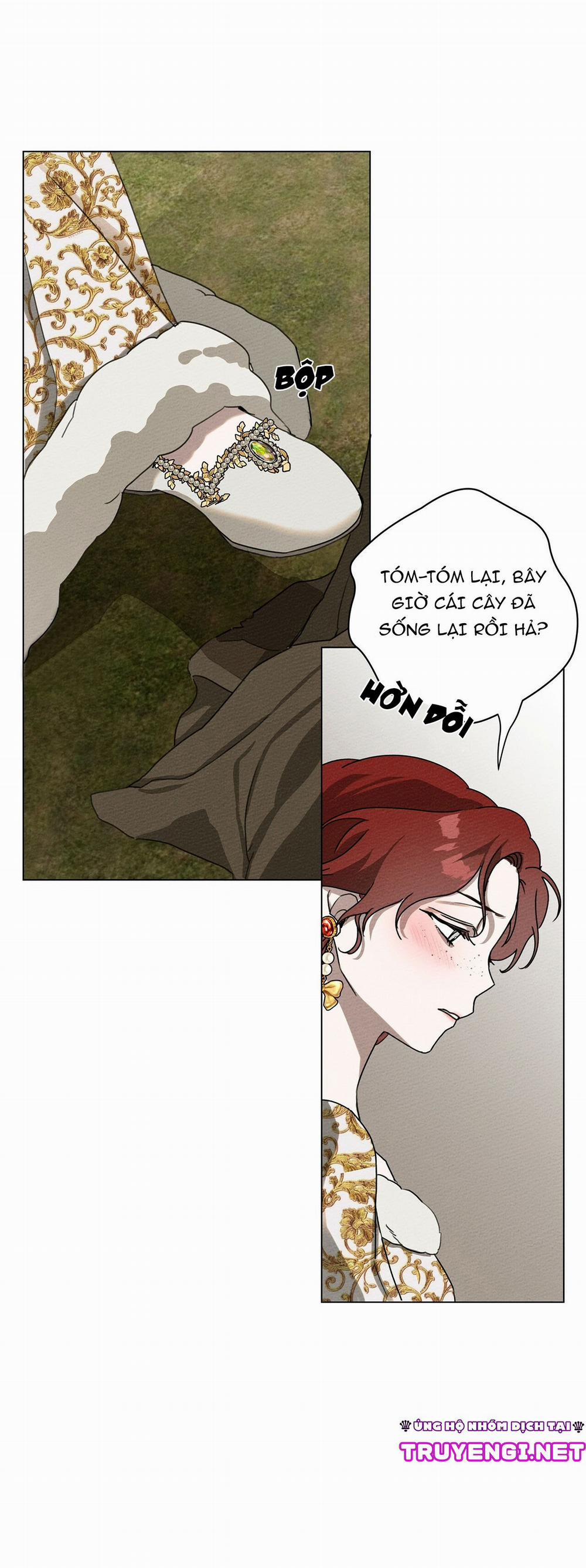 Dưới Bóng Cây Sồi 23 trang 51