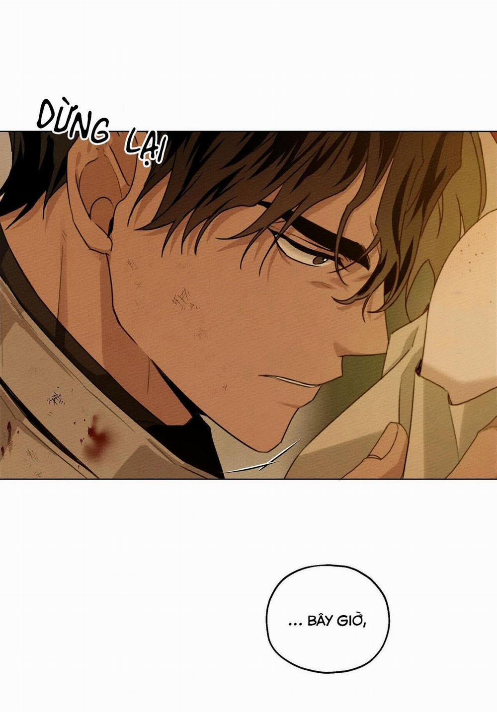 Dưới Bóng Cây Sồi 27 trang 24