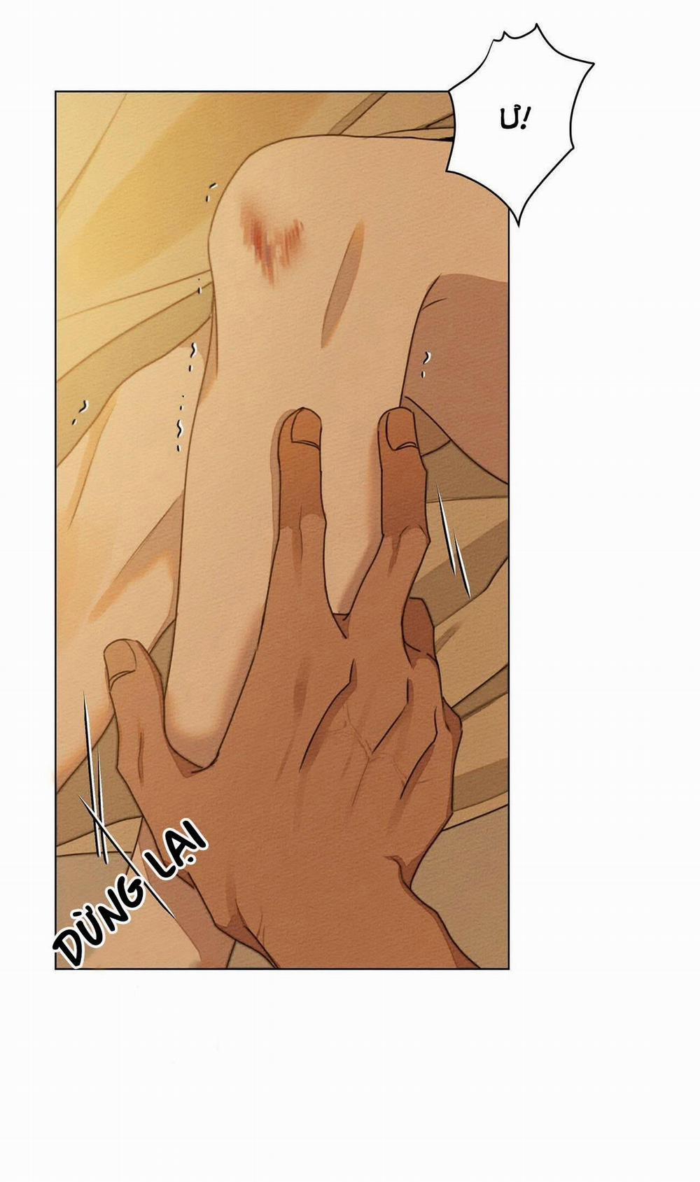 Dưới Bóng Cây Sồi 27 trang 31