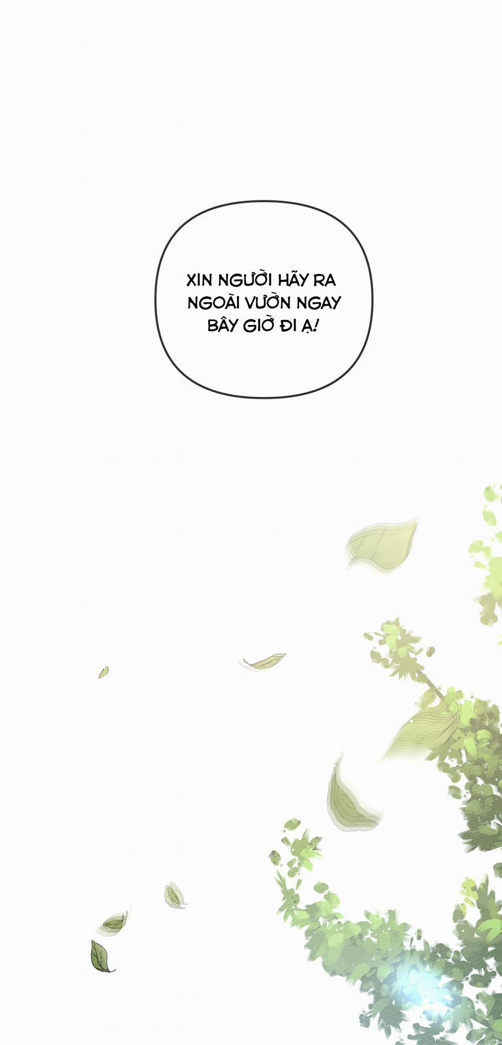 Dưới Bóng Cây Sồi 29 trang 36