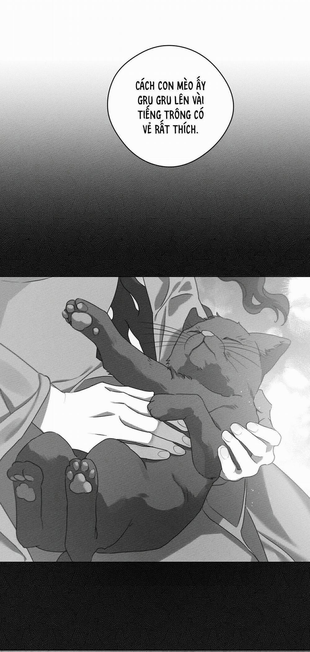 Dưới Bóng Cây Sồi 33 trang 25