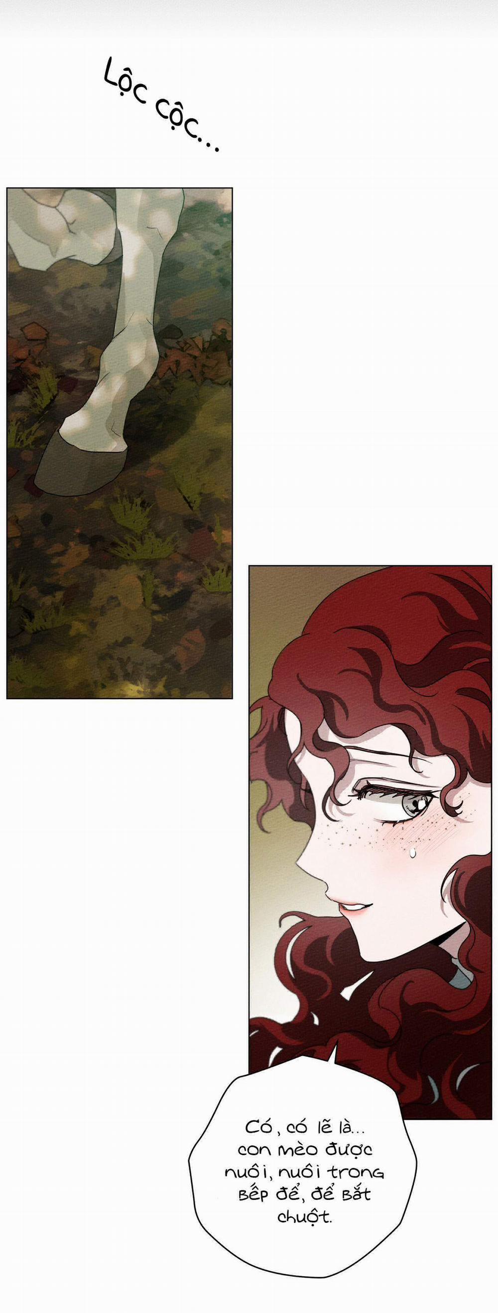 Dưới Bóng Cây Sồi 33 trang 28