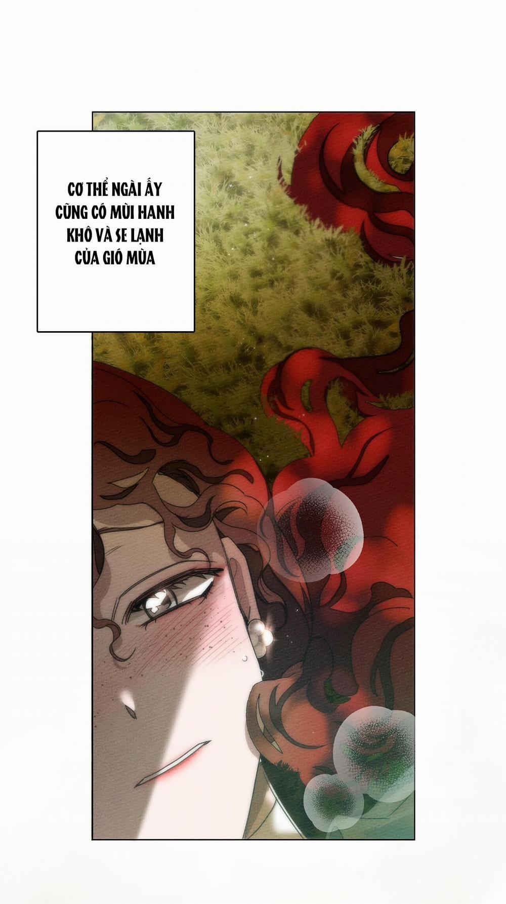 Dưới Bóng Cây Sồi 34 trang 52