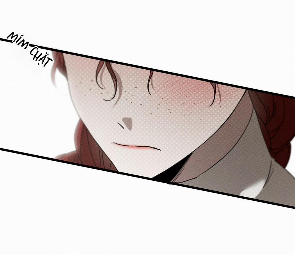 Dưới Bóng Cây Sồi 38 trang 16