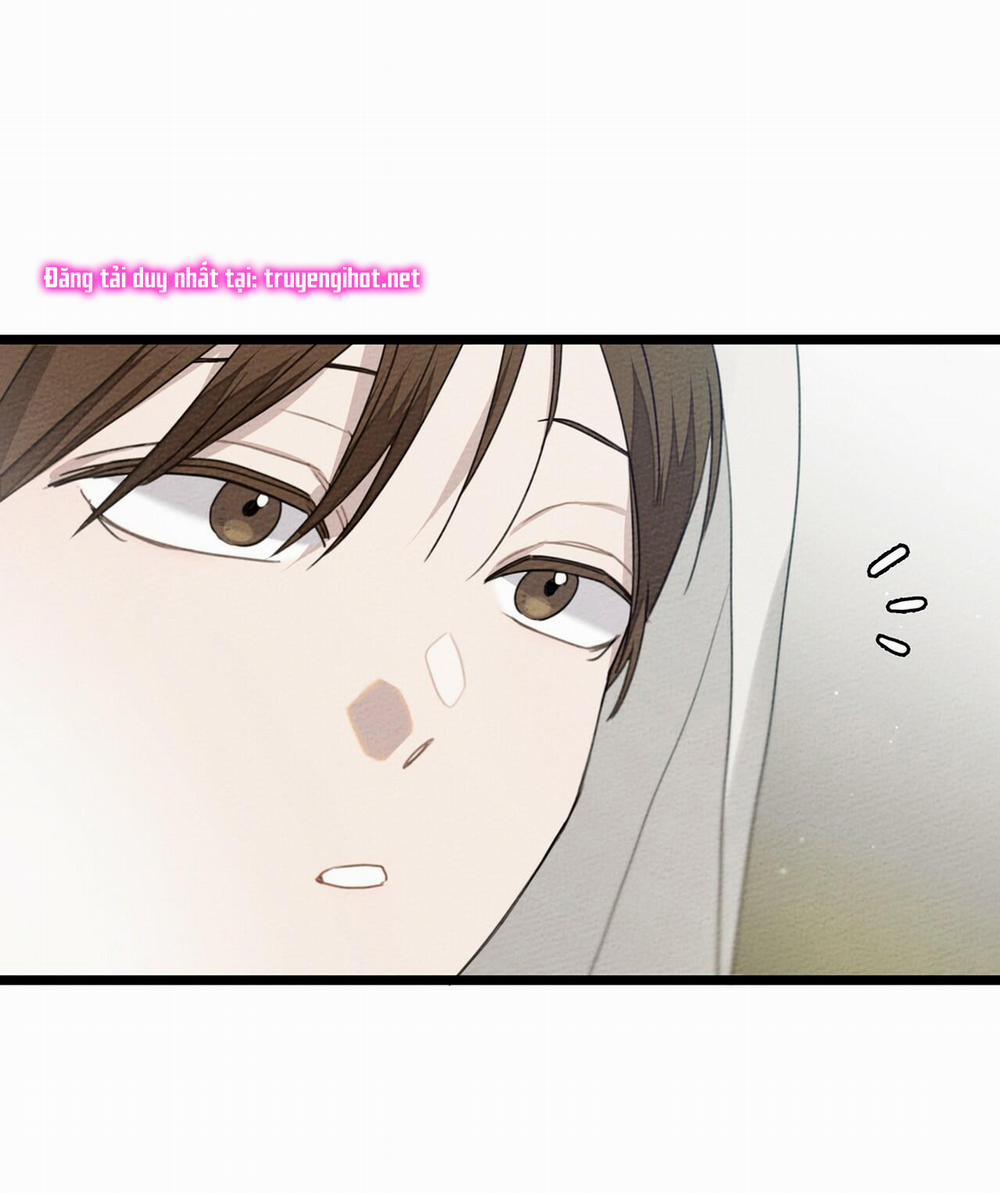 Dưới Bóng Cây Sồi 38 trang 4