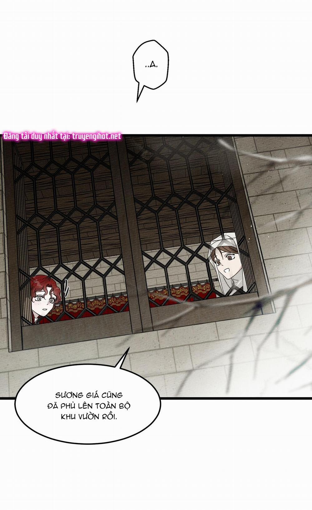 Dưới Bóng Cây Sồi 38 trang 8