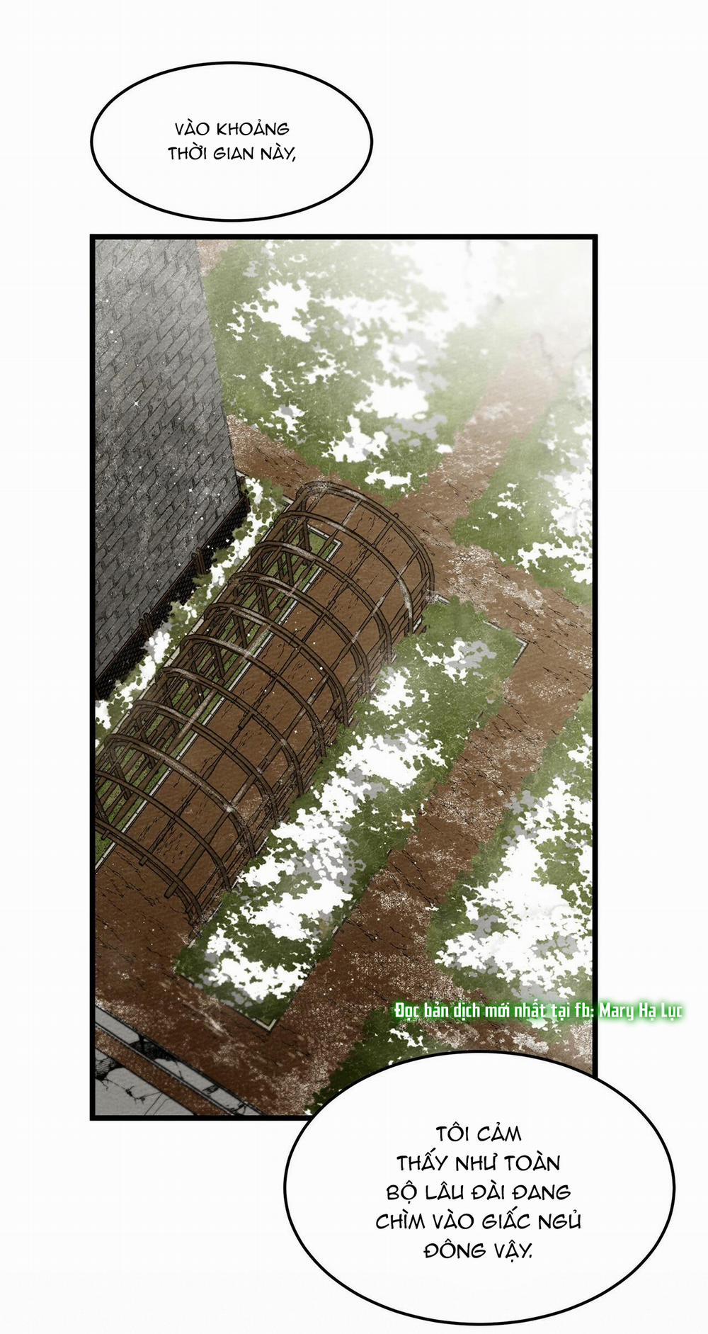 Dưới Bóng Cây Sồi 38 trang 9