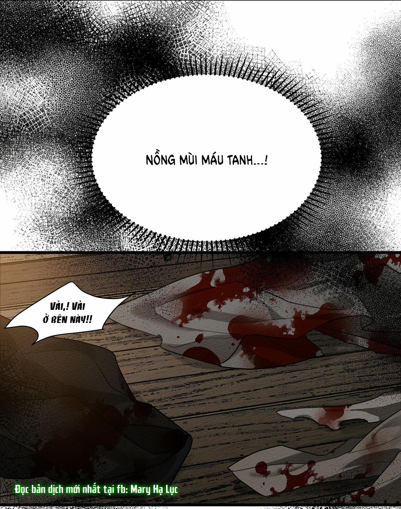 Dưới Bóng Cây Sồi 39 trang 13