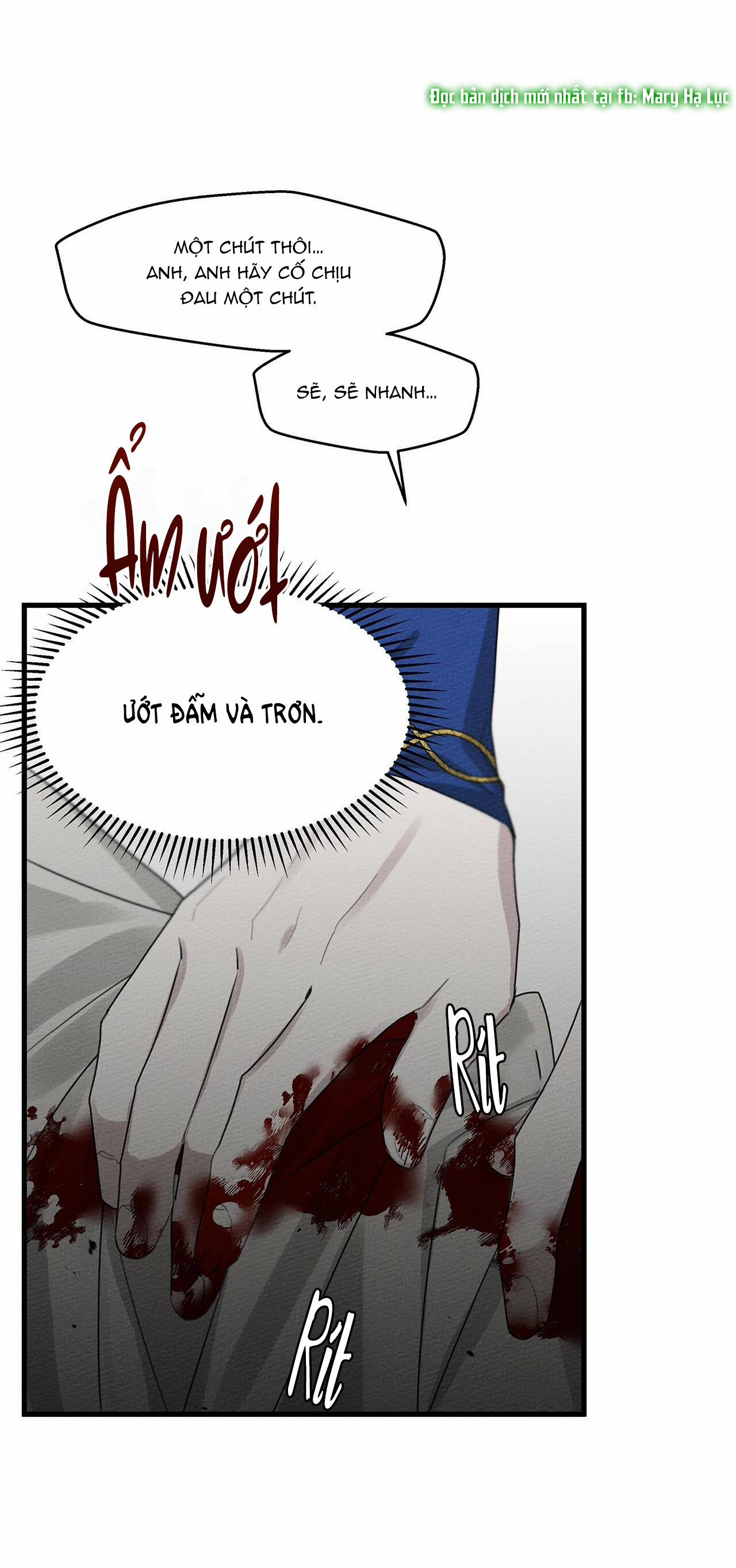 Dưới Bóng Cây Sồi 39 trang 24