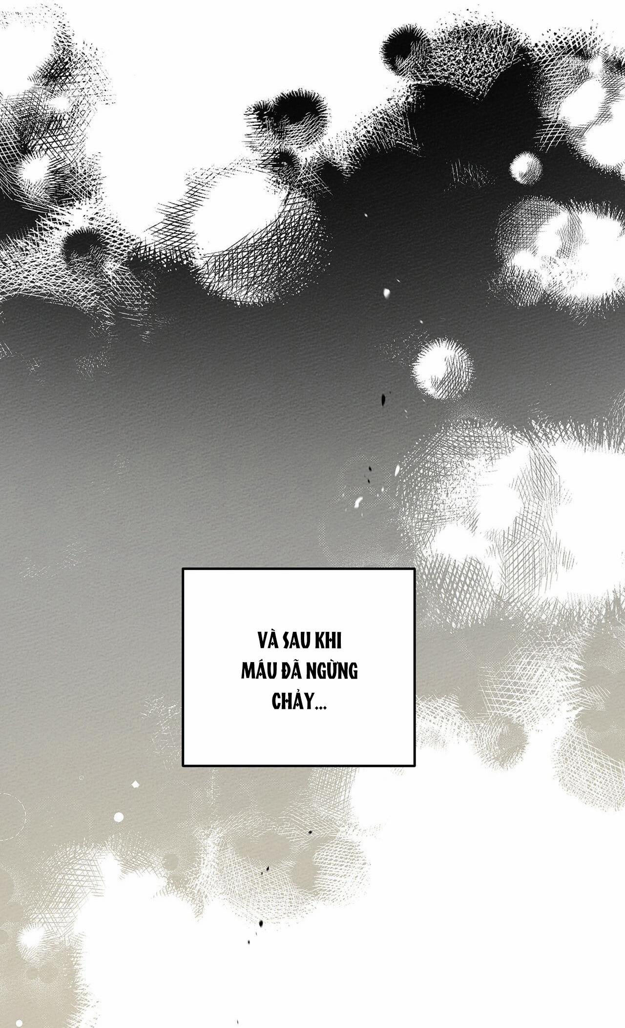 Dưới Bóng Cây Sồi 39 trang 28