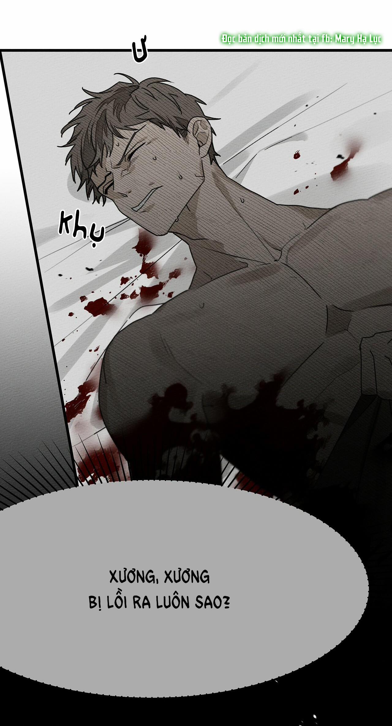 Dưới Bóng Cây Sồi 39 trang 42