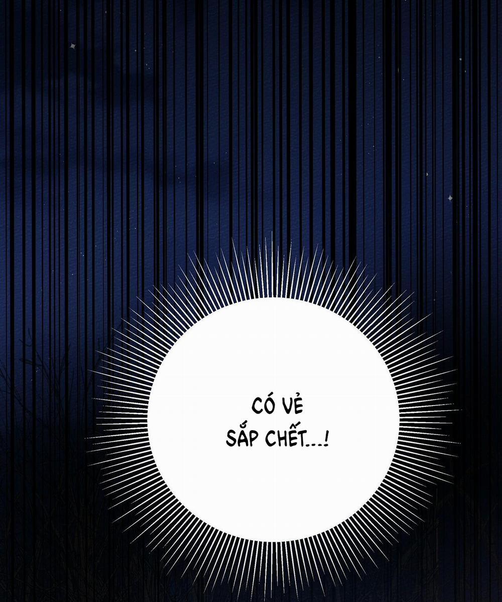 Dưới Bóng Cây Sồi 40.2 trang 13