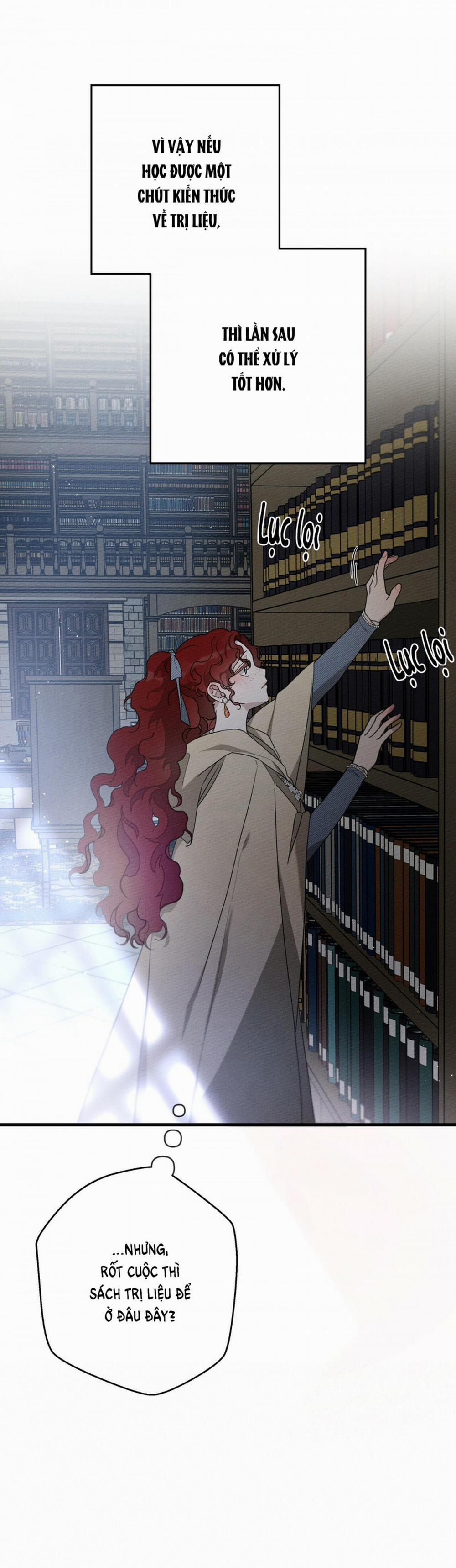 Dưới Bóng Cây Sồi 41.1 trang 23