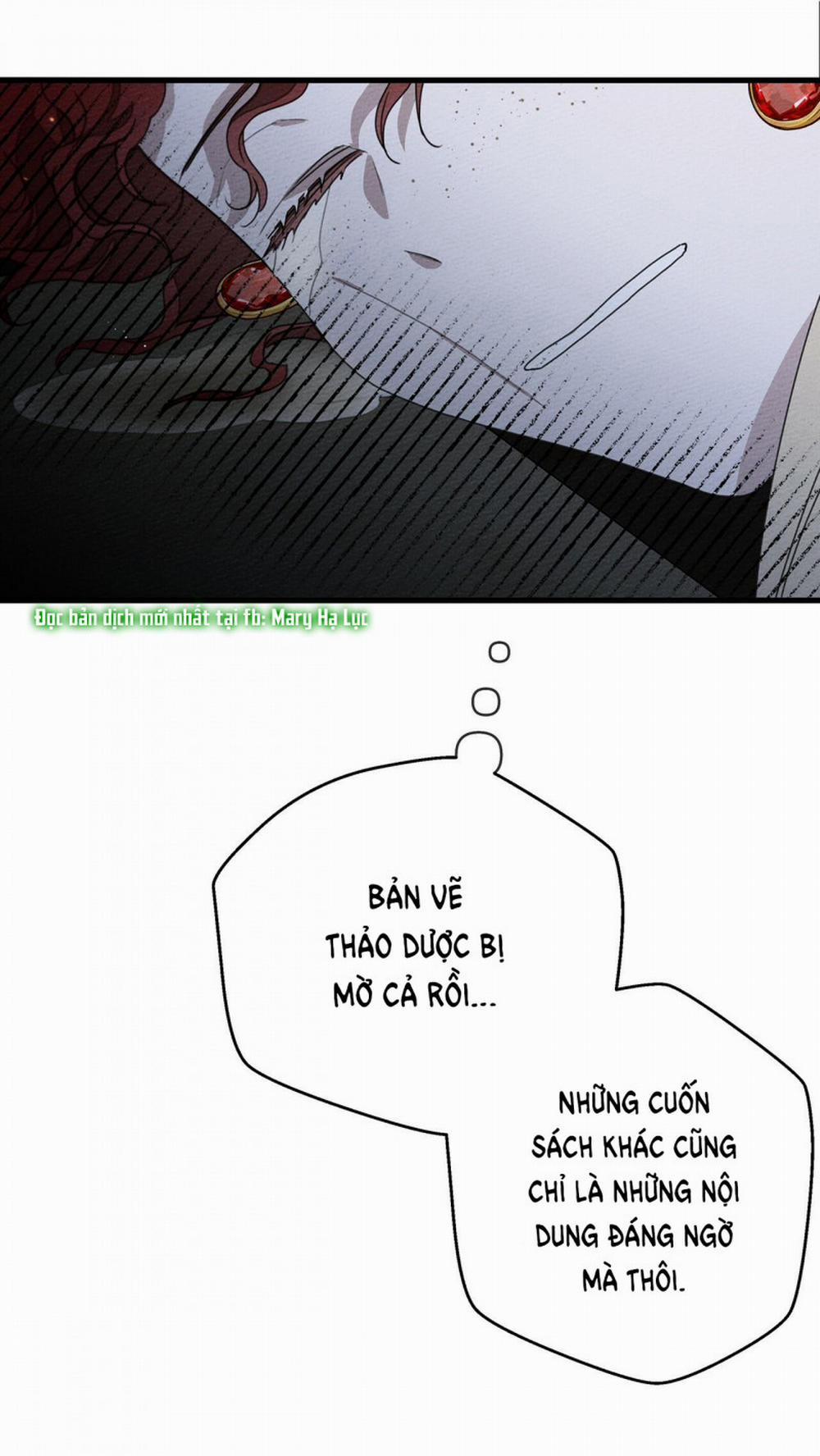 Dưới Bóng Cây Sồi 41.1 trang 40