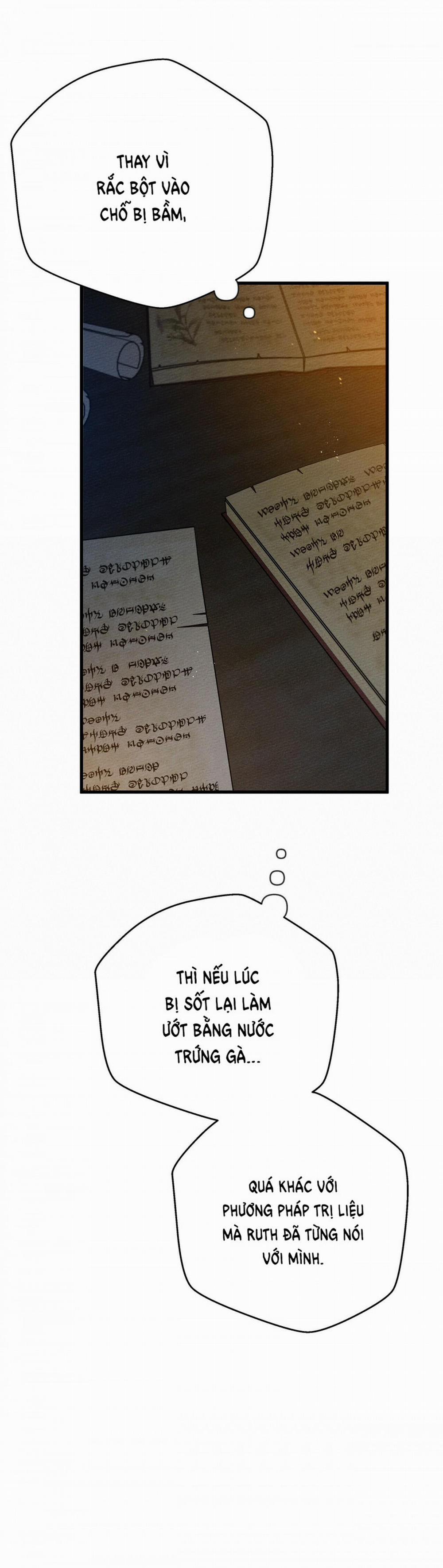 Dưới Bóng Cây Sồi 41.1 trang 41