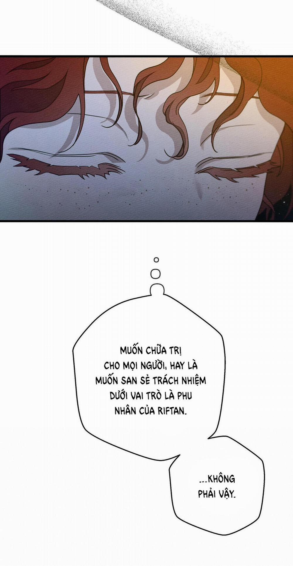 Dưới Bóng Cây Sồi 41.2 trang 1