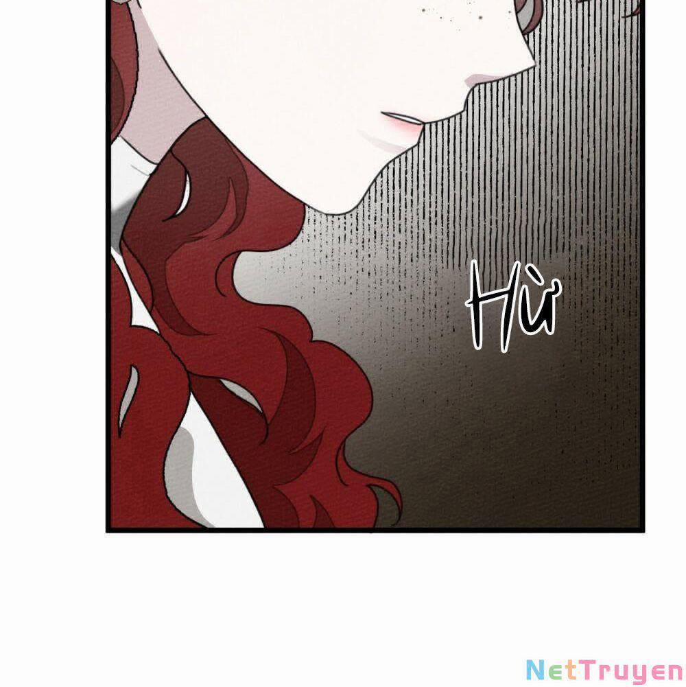 Dưới Bóng Cây Sồi 44.1 trang 11