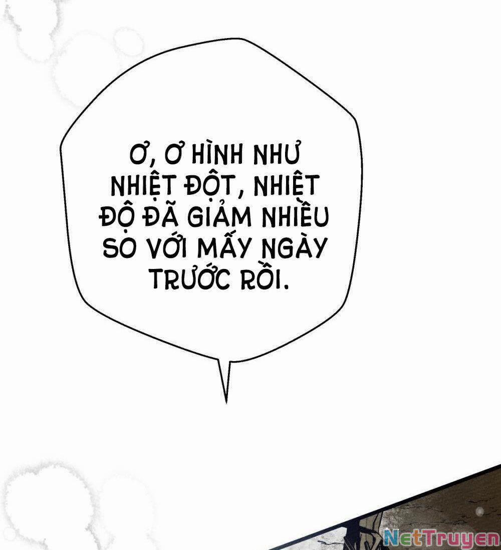 Dưới Bóng Cây Sồi 44.1 trang 29