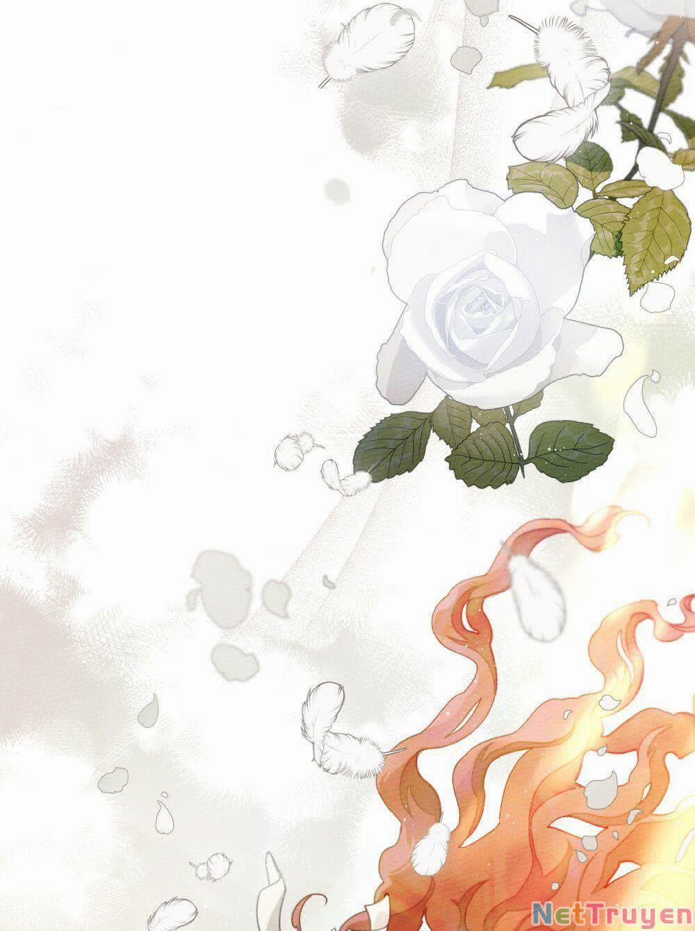 Dưới Bóng Cây Sồi 44.1 trang 74