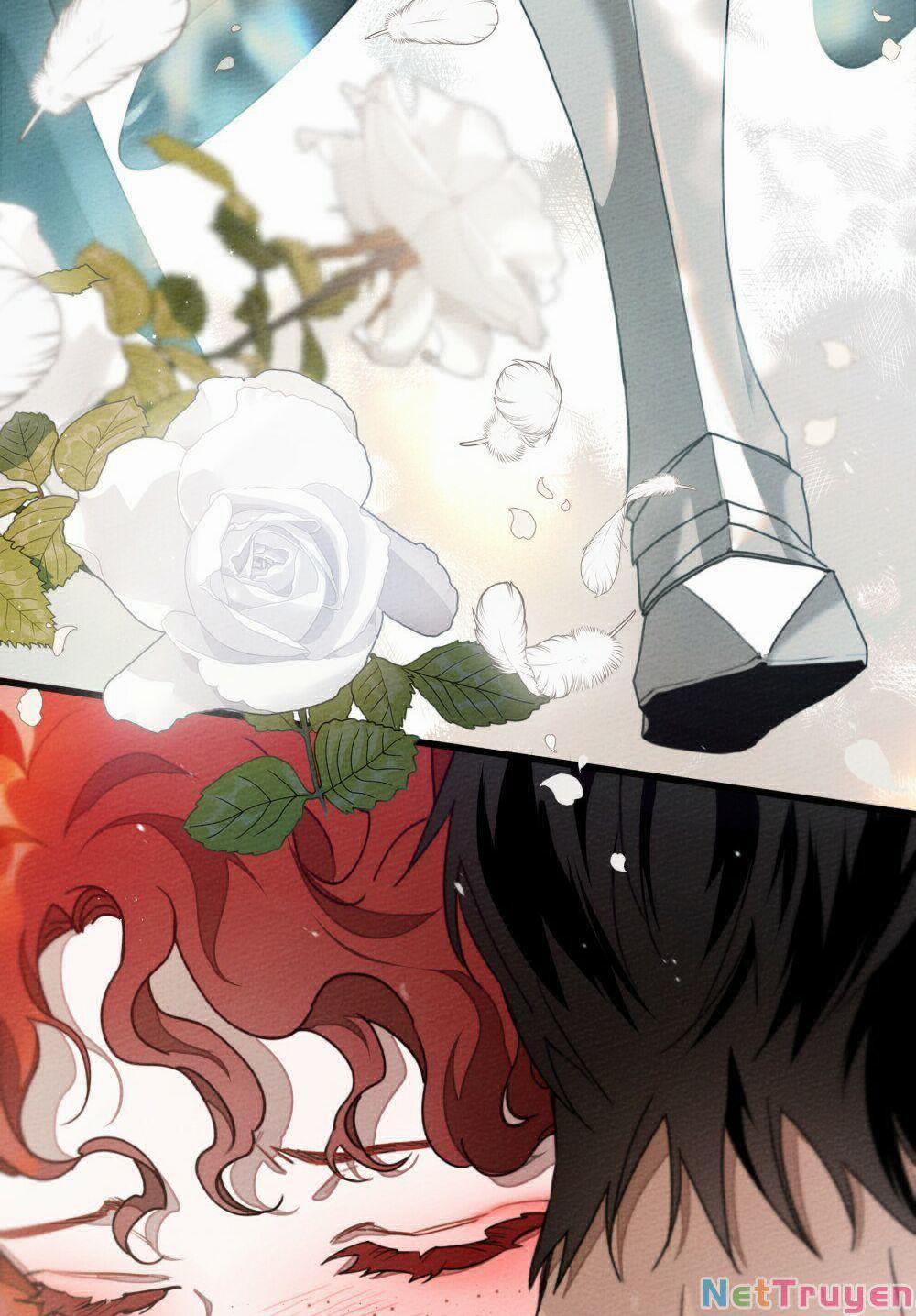 Dưới Bóng Cây Sồi 44.1 trang 77