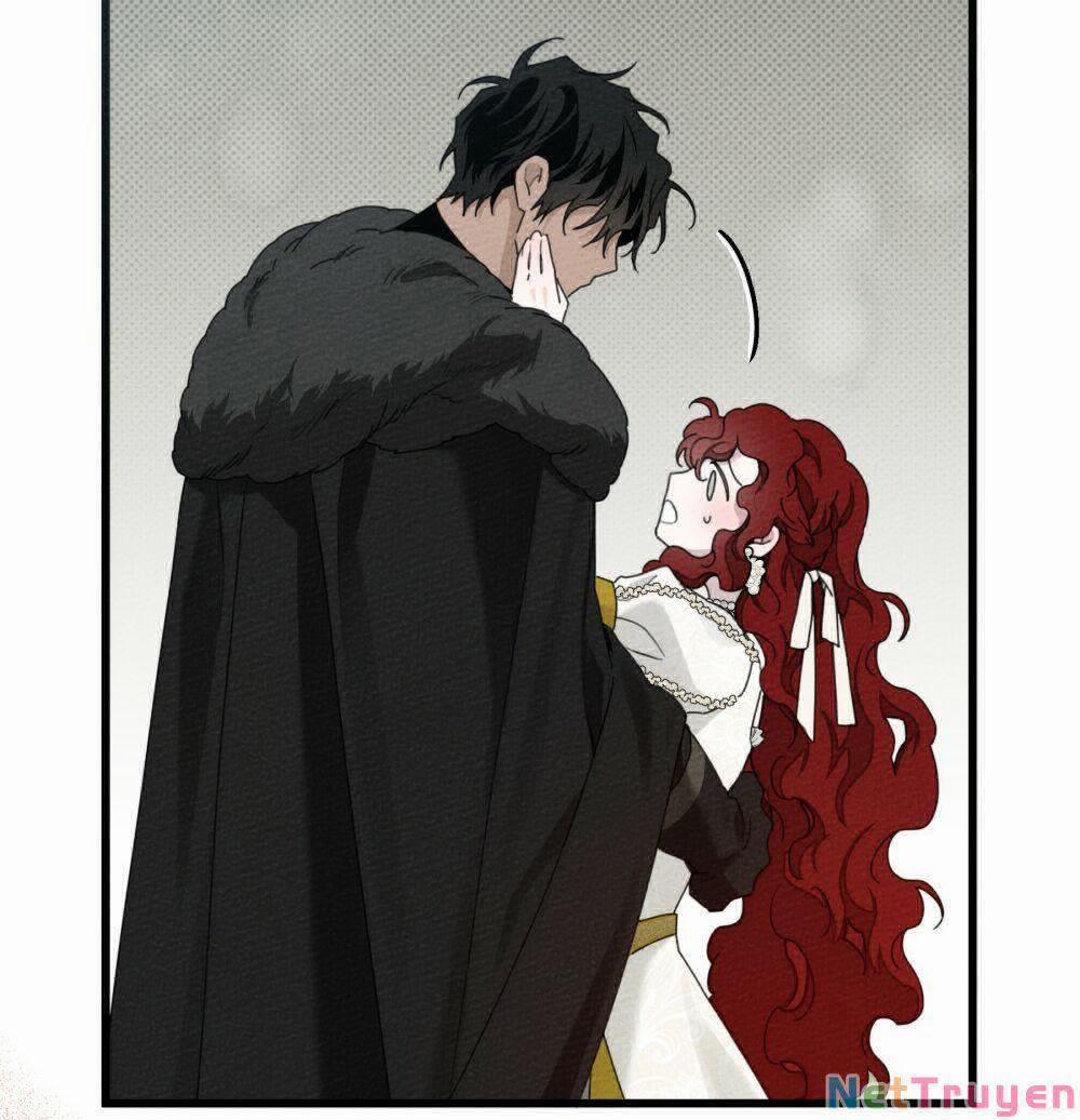 Dưới Bóng Cây Sồi 44.2 trang 1