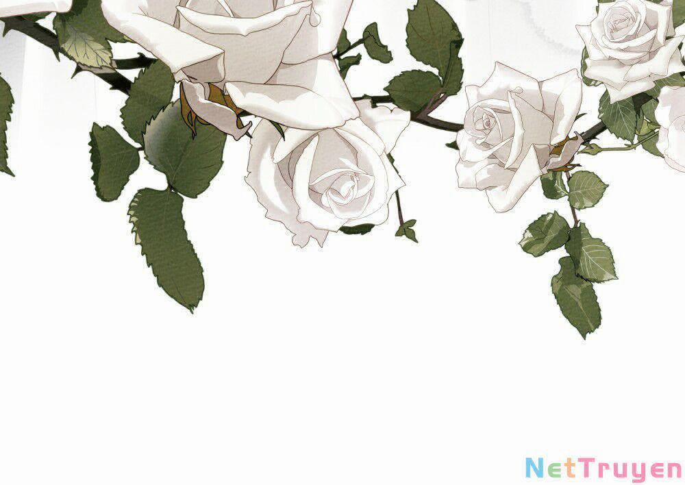 Dưới Bóng Cây Sồi 44.2 trang 10