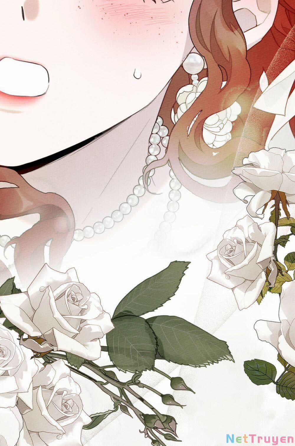 Dưới Bóng Cây Sồi 44.2 trang 4