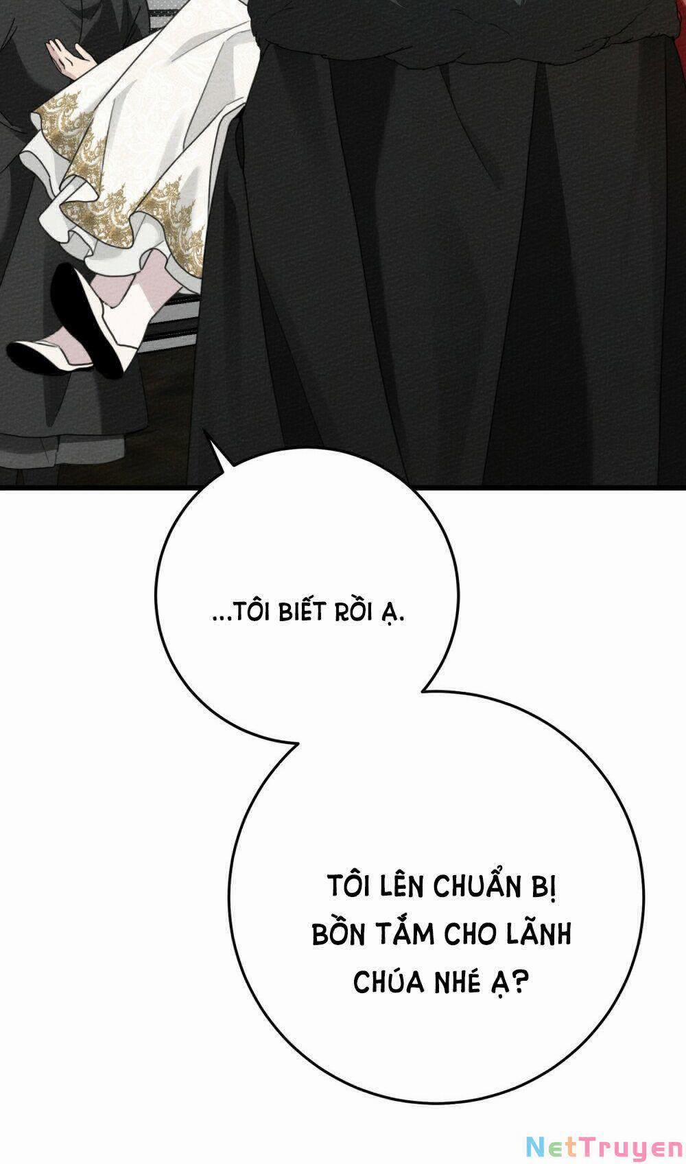 Dưới Bóng Cây Sồi 44.2 trang 43