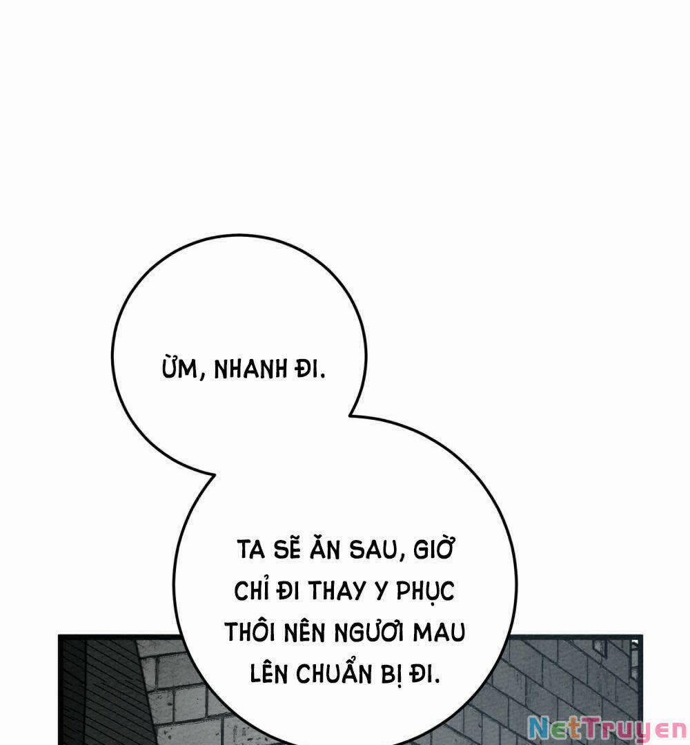 Dưới Bóng Cây Sồi 44.2 trang 46