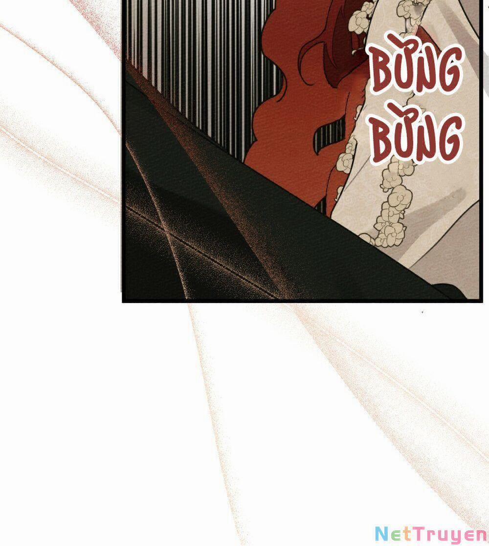 Dưới Bóng Cây Sồi 44.2 trang 61