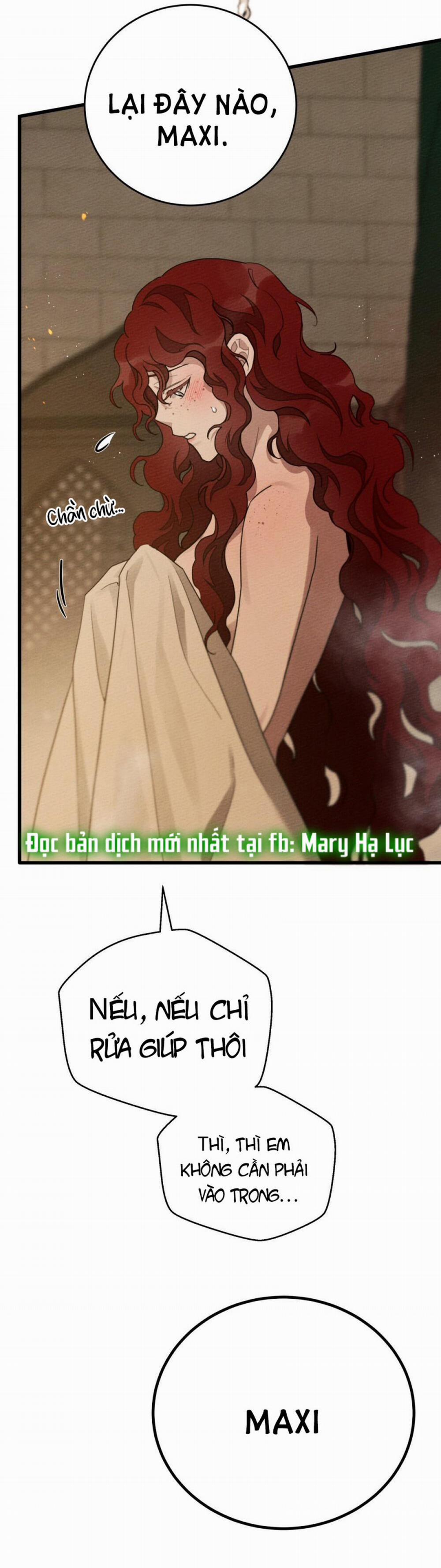 Dưới Bóng Cây Sồi 45.5 trang 1