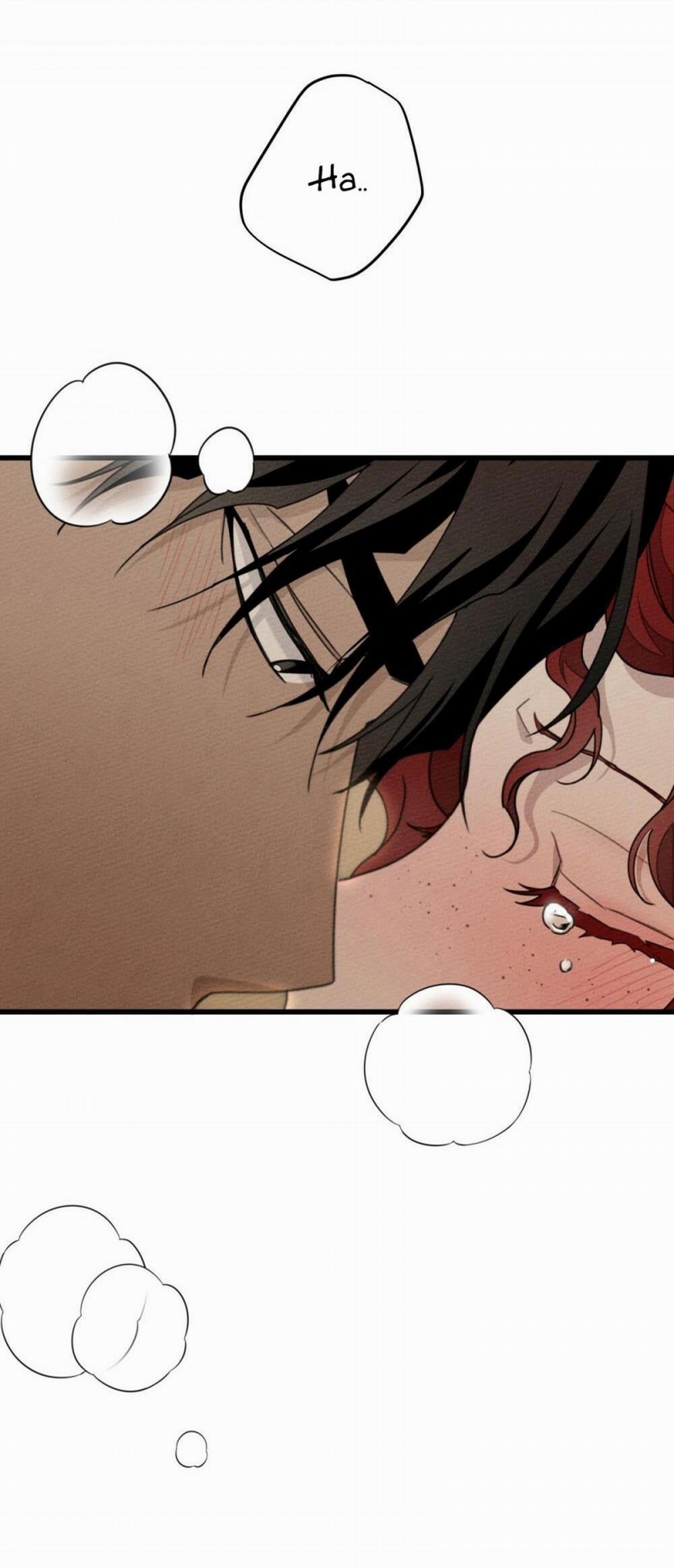 Dưới Bóng Cây Sồi 45 trang 14