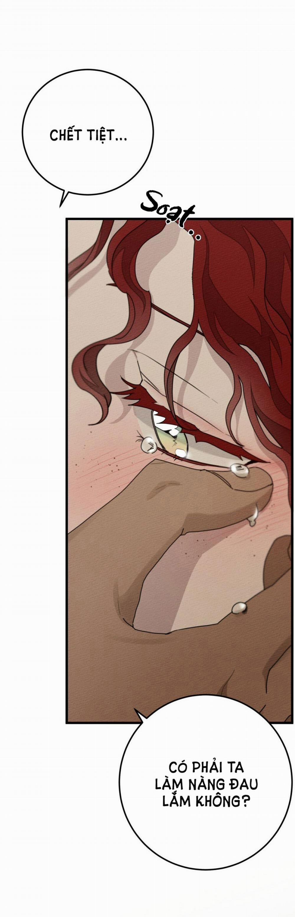 Dưới Bóng Cây Sồi 45 trang 15