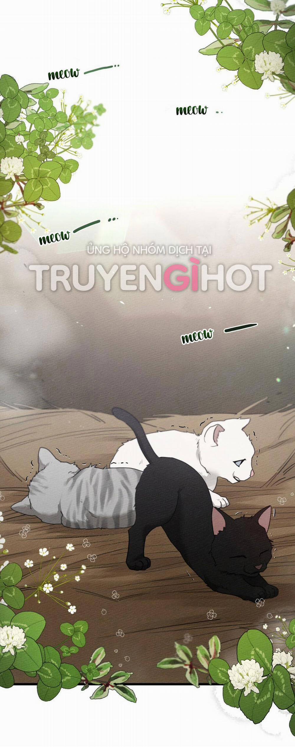 Dưới Bóng Cây Sồi 46.1 trang 25