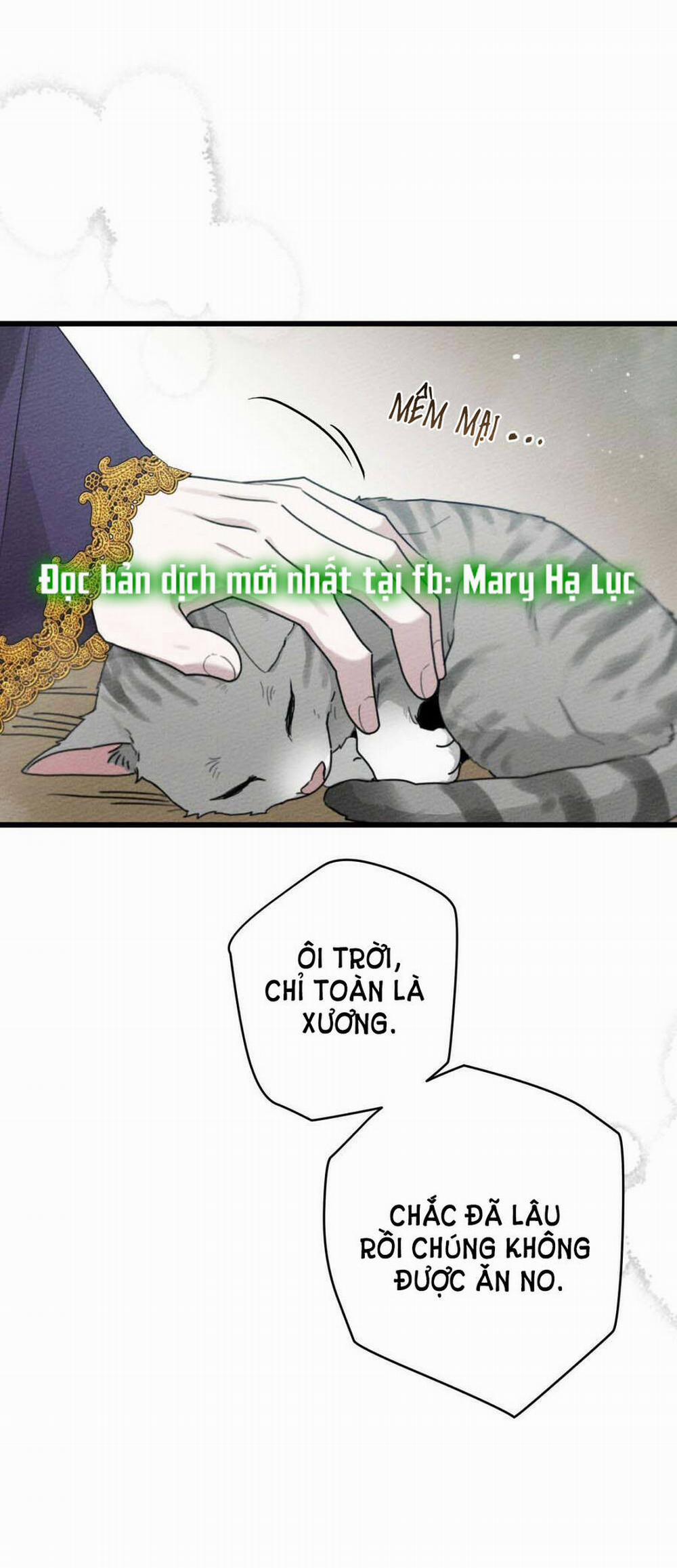 Dưới Bóng Cây Sồi 46.1 trang 28