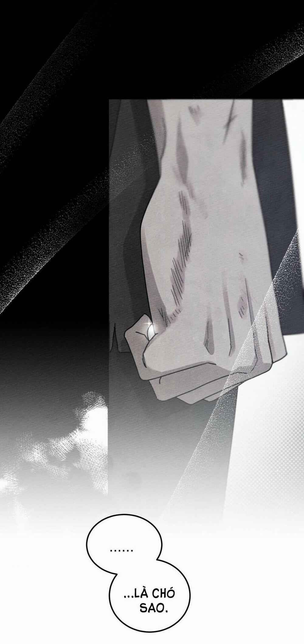 Dưới Bóng Cây Sồi 46.1 trang 44